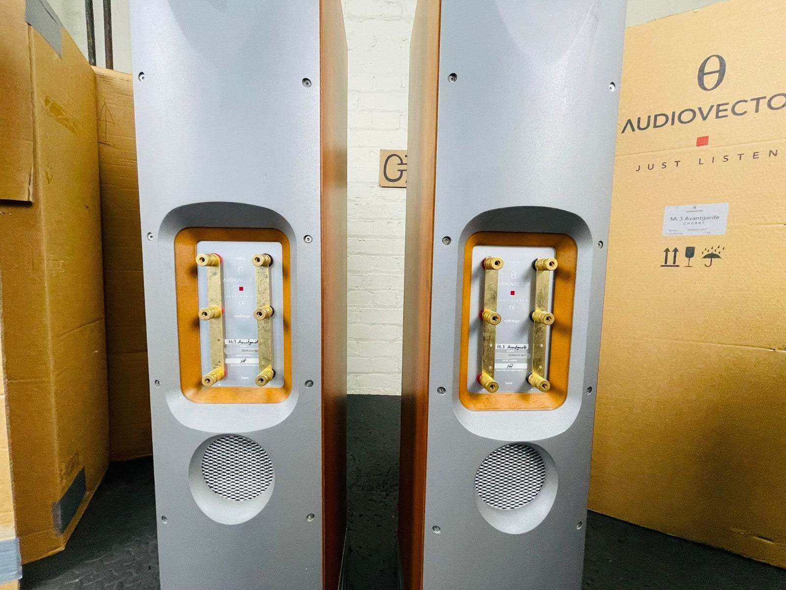 AUDIOVECTOR Mi3 AVANTGARDE FLOOR STANDING SPEAKERS
