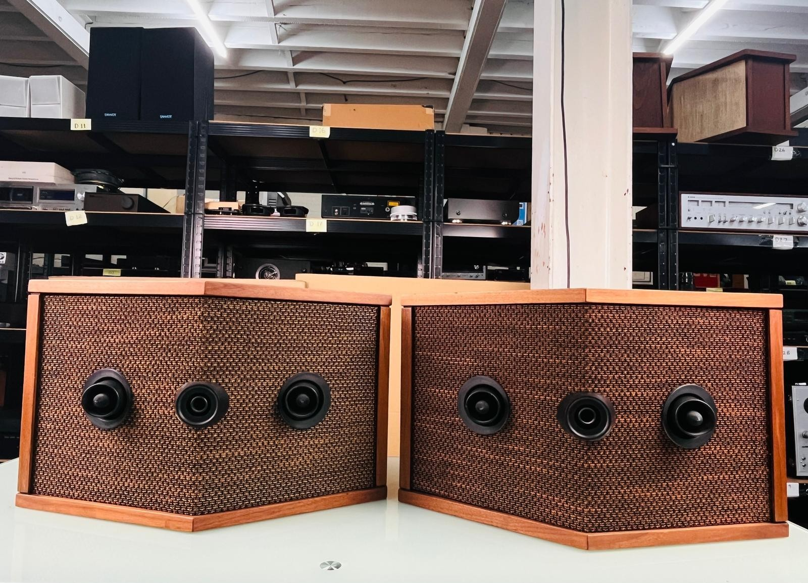 BOSE 901 SERIES IV SPEAKERS