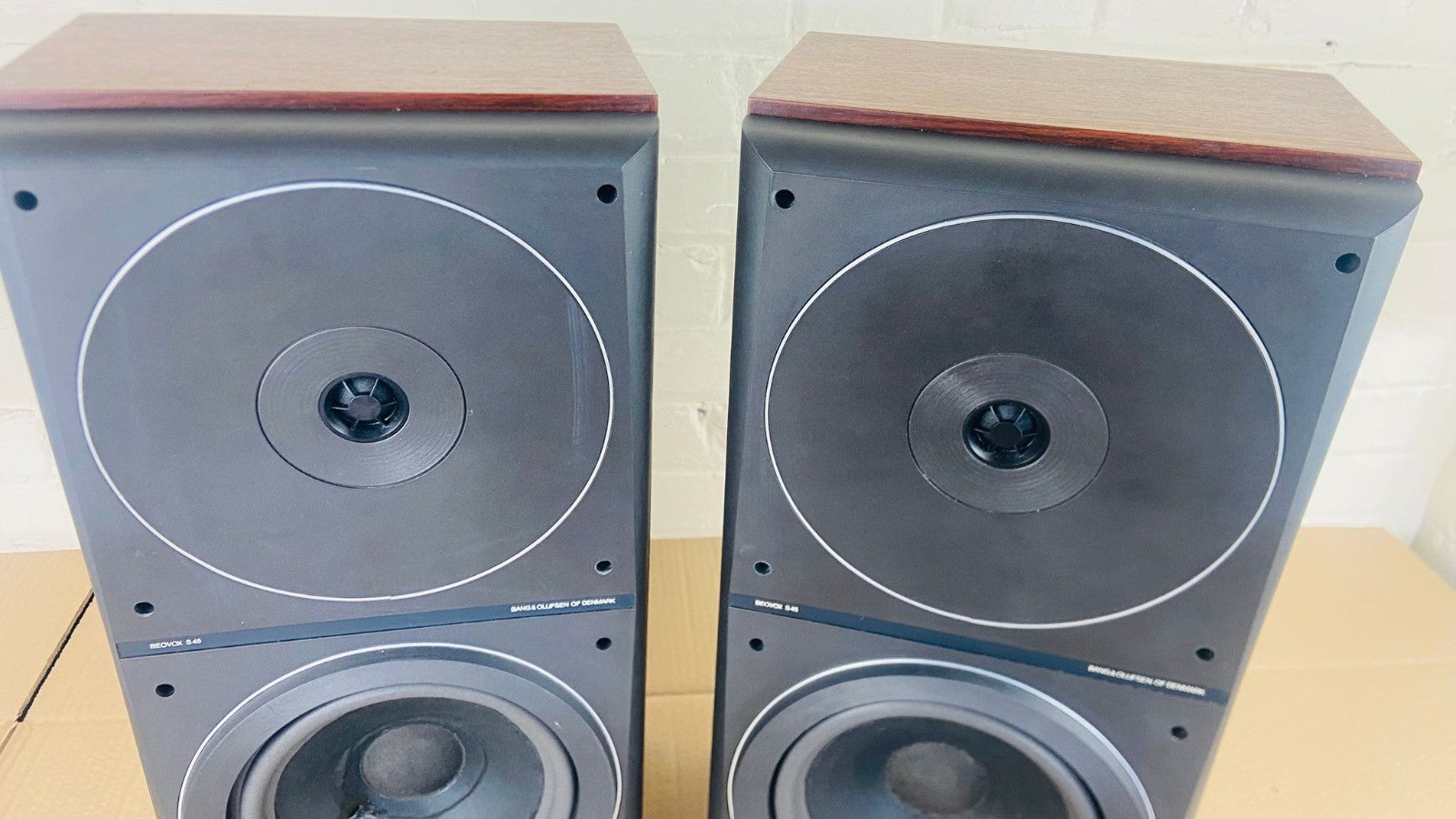 BANG & OLUFSEN B&O BEOVOX S45 SPEAKERS