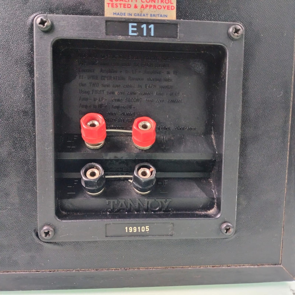 TANNOY E11 SPEAKERS