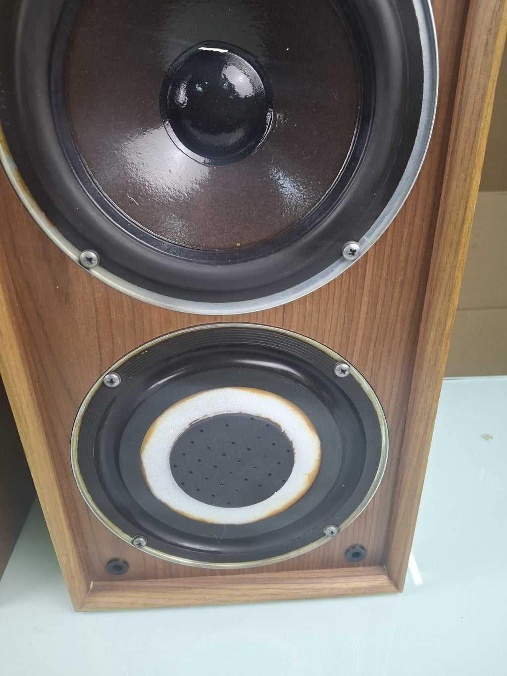 CELESTION DITTON 15 XR SPEAKERS