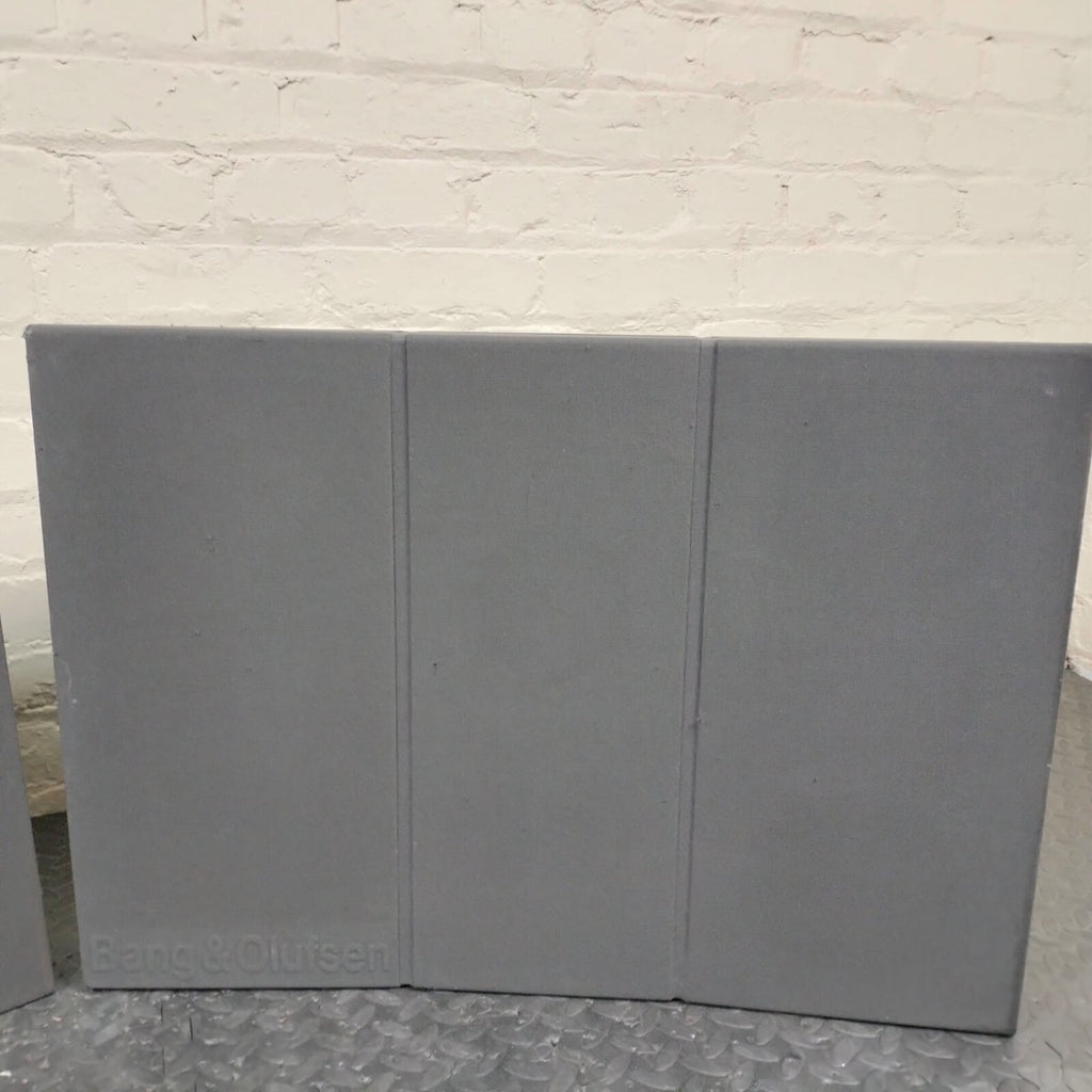 BANG & OLUFSEN B&O BEOVOX RL 140 SPEAKERS