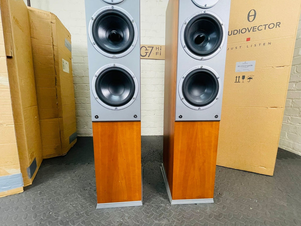 AUDIOVECTOR Mi3 AVANTGARDE FLOOR STANDING SPEAKERS