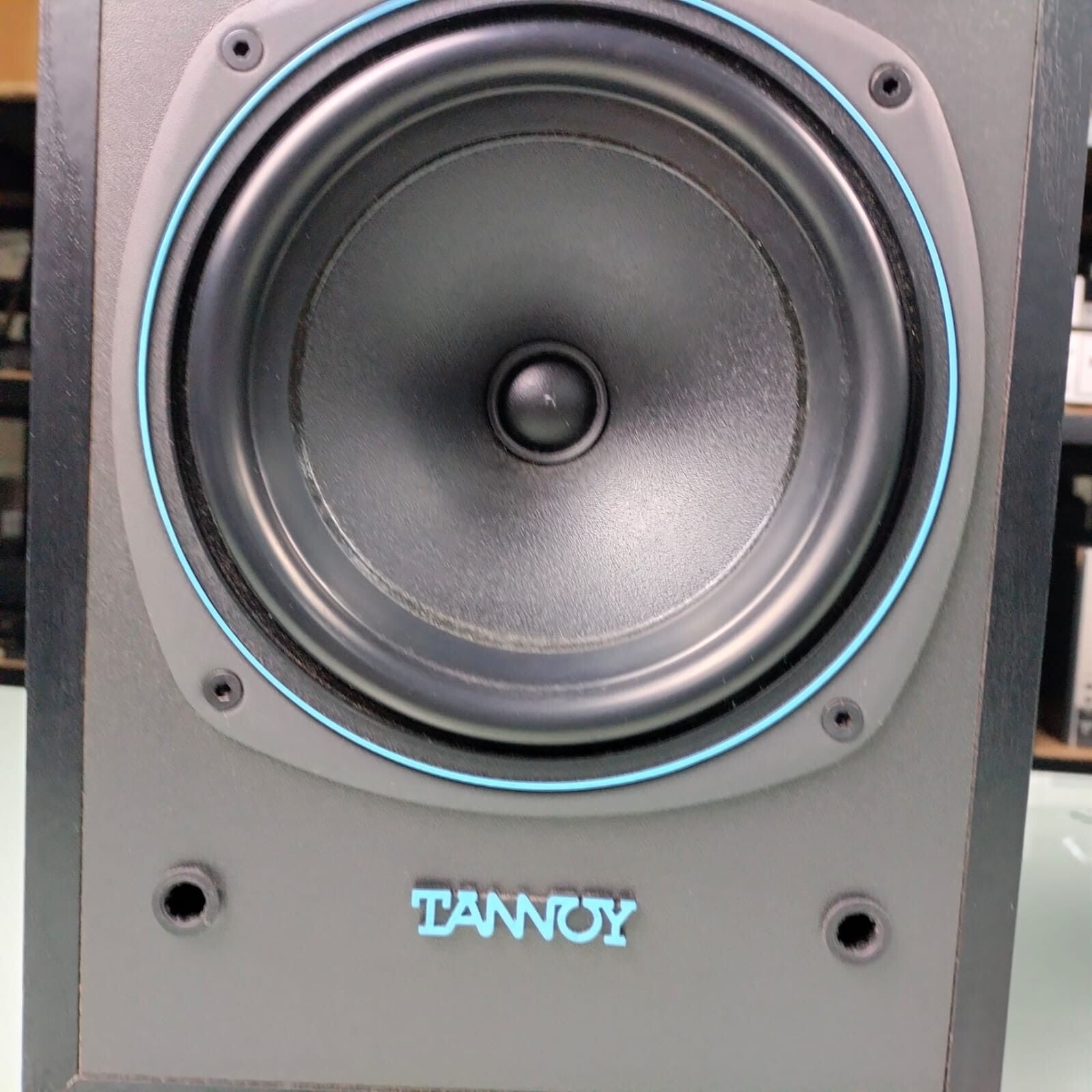 TANNOY E11 SPEAKERS