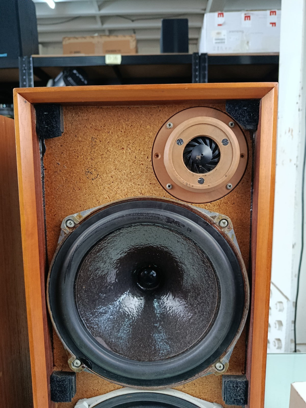 CELESTION DITTON 15 SPEAKERS