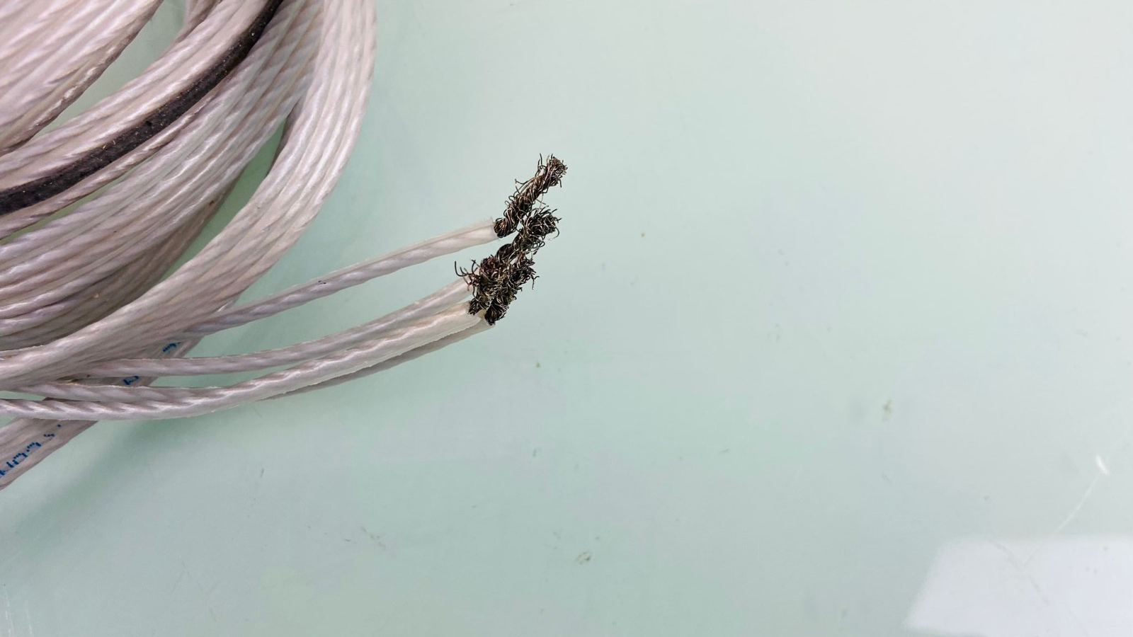 QED SILVER ANNIVERSARY BI WIRE SPEAKER CABLES