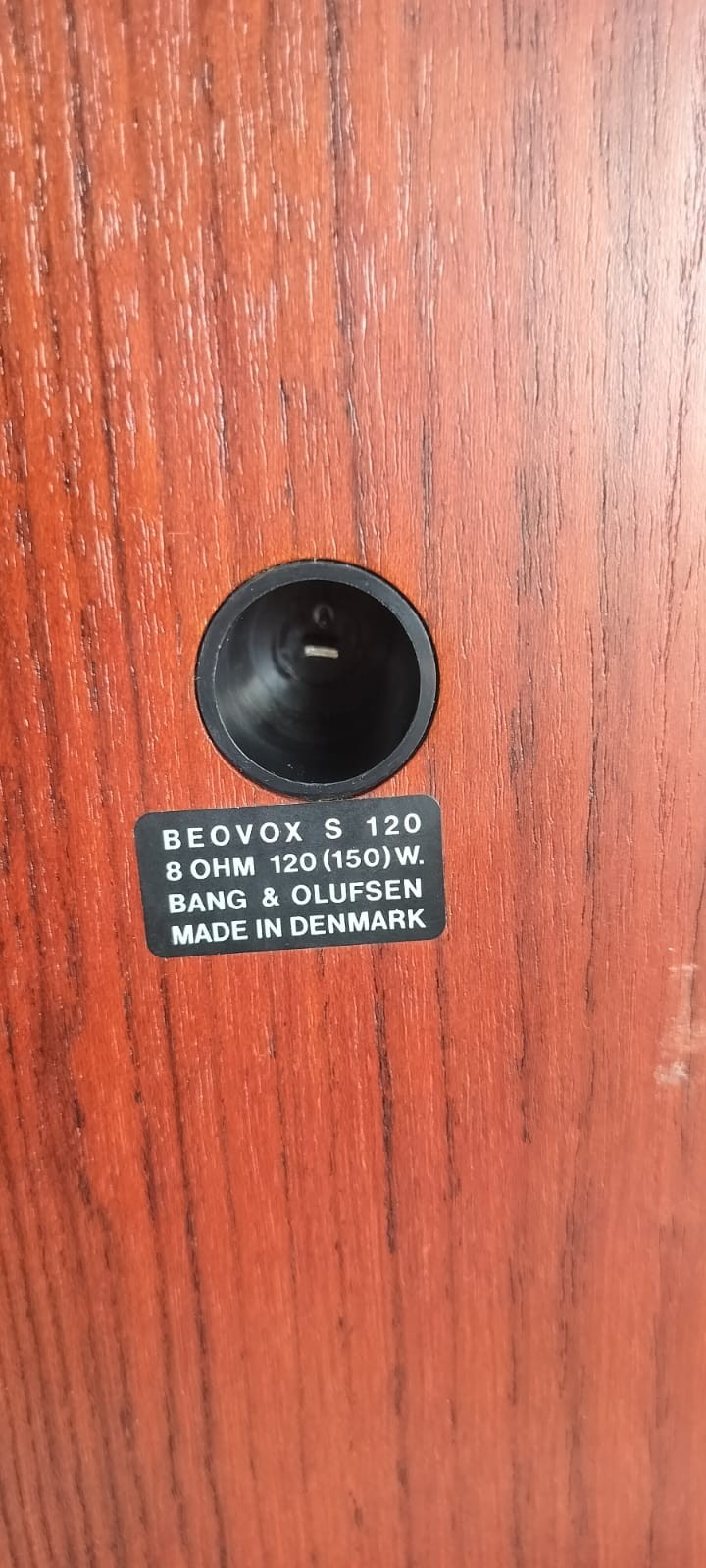 BANG & OLUFSEN B&O BEOVOX S120 SPEAKERS