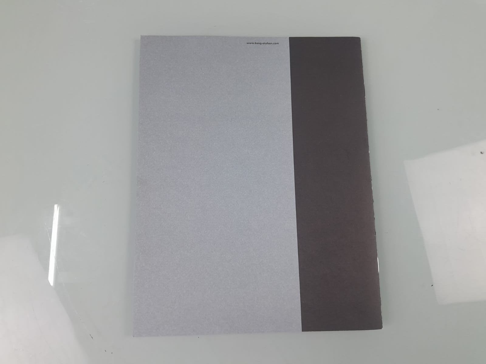 BANG & OLUFSEN B&O BEOLAB 2 USER GUIDE / MANUAL