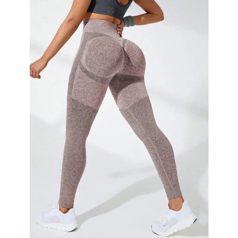 MISS-LED.COM fitness leggings gym sport pants yoga GYM SHARK FABLETICS AYBL