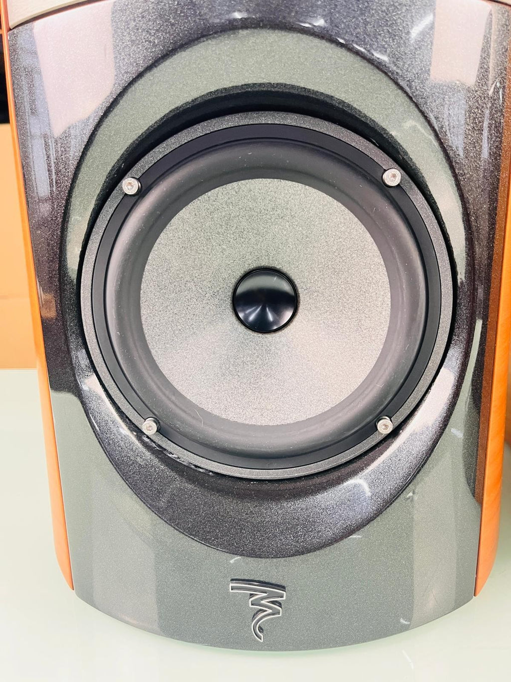 FOCAL ELECTRA 1007 BE SPEAKERS