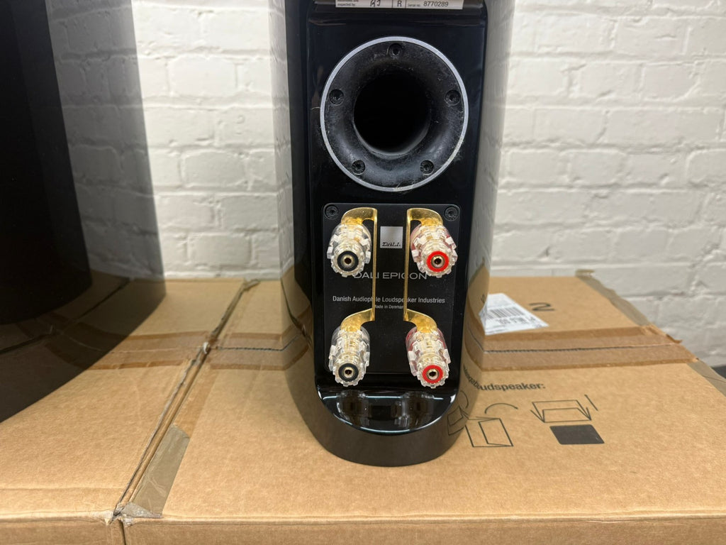 DALI EPICON 2 SPEAKERS WITH DALI STANDS