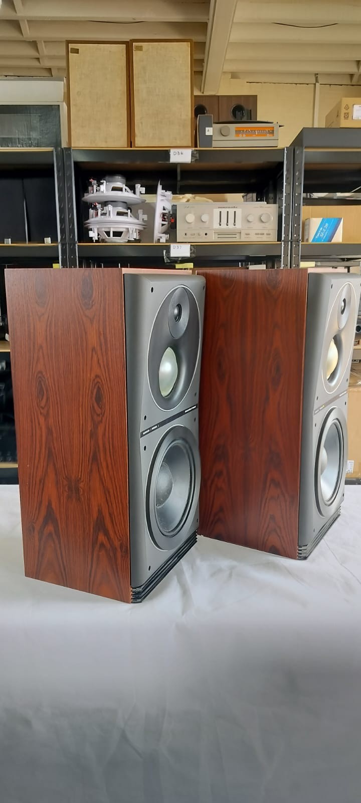 BANG & OLUFSEN B&O BEOVOX S120 SPEAKERS