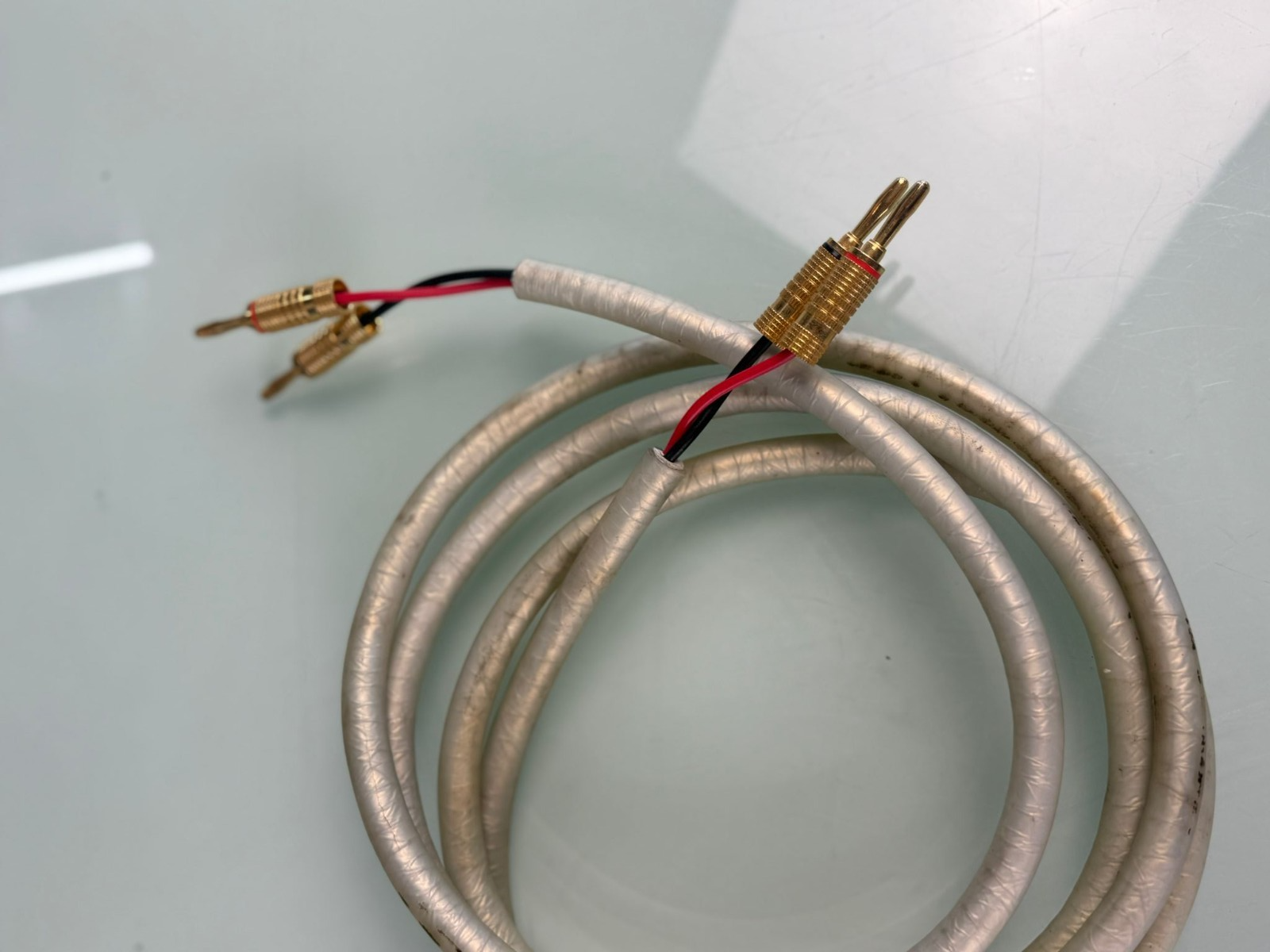 THE CHORD COMPANY CARNIVAL SPEAKER CABLES