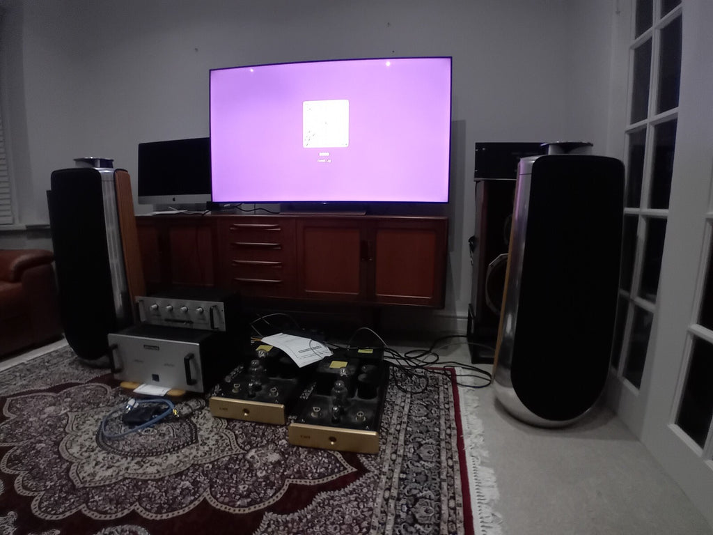 BANG & OLUFSEN B&O BEOLAB 50 FLOOR STANDING SPEAKERS