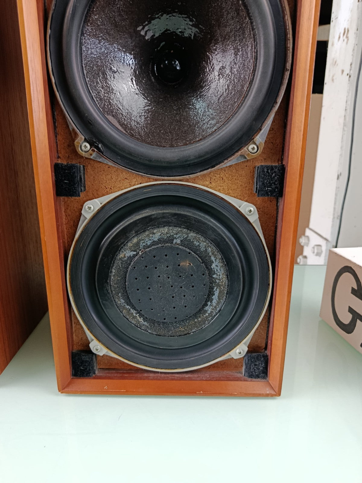 CELESTION DITTON 15 SPEAKERS