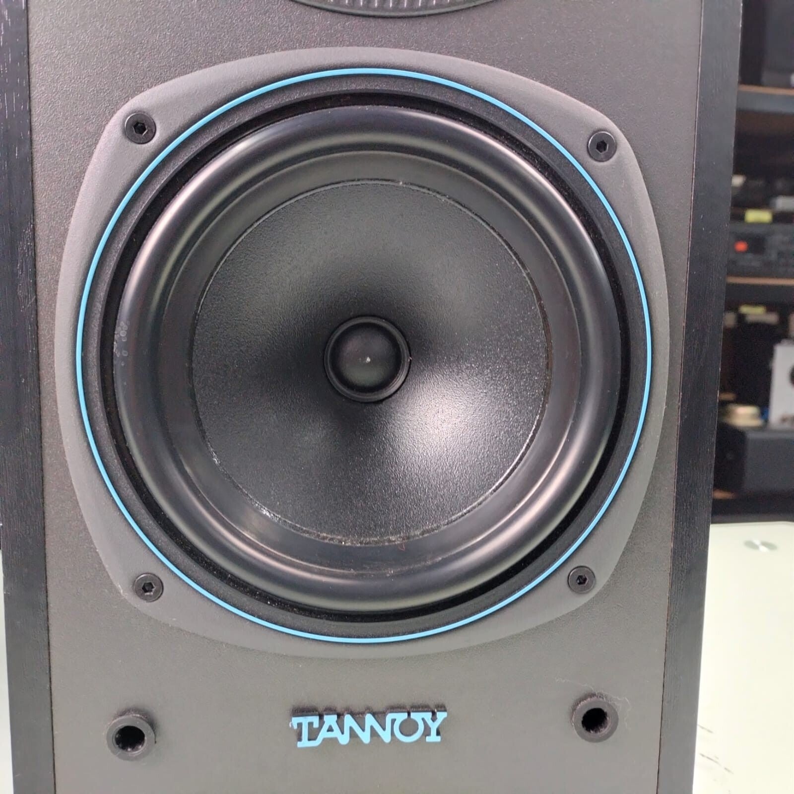 TANNOY E11 SPEAKERS