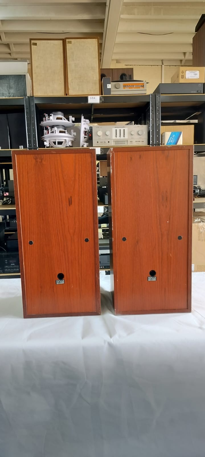 BANG & OLUFSEN B&O BEOVOX S120 SPEAKERS