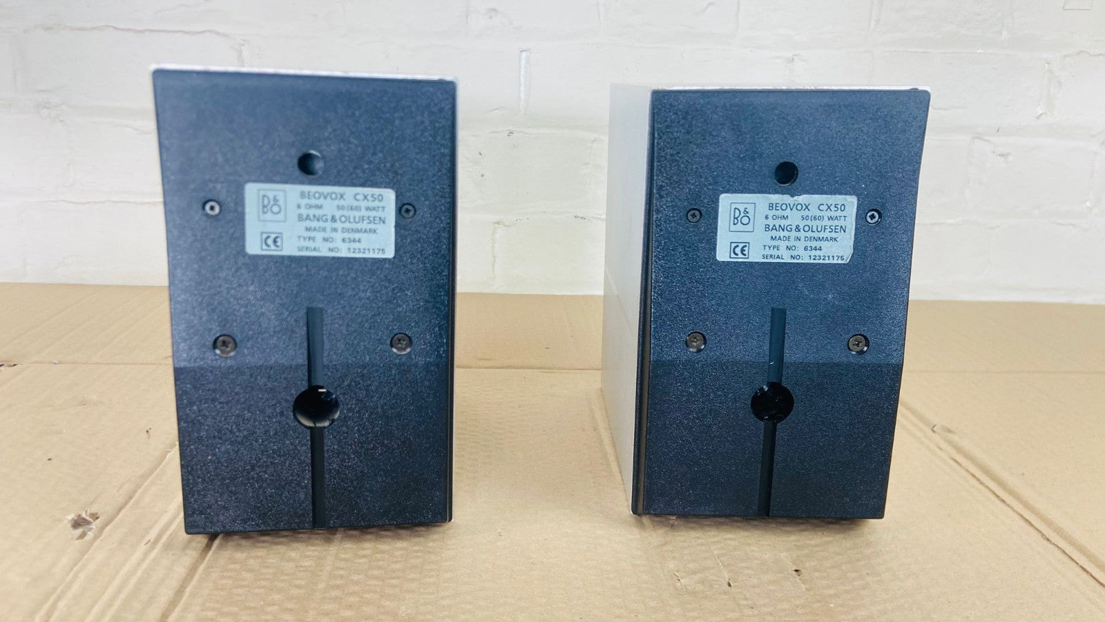 BANG & OLUFSEN B&O BEOVOX CX50 SPEAKERS #002