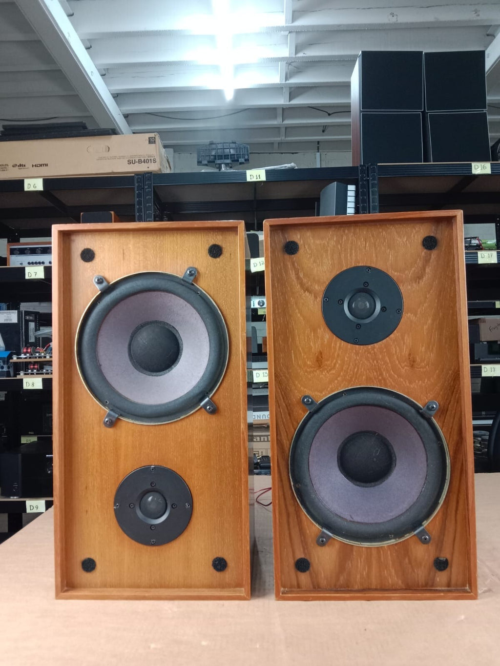 Rank Domus Speakers