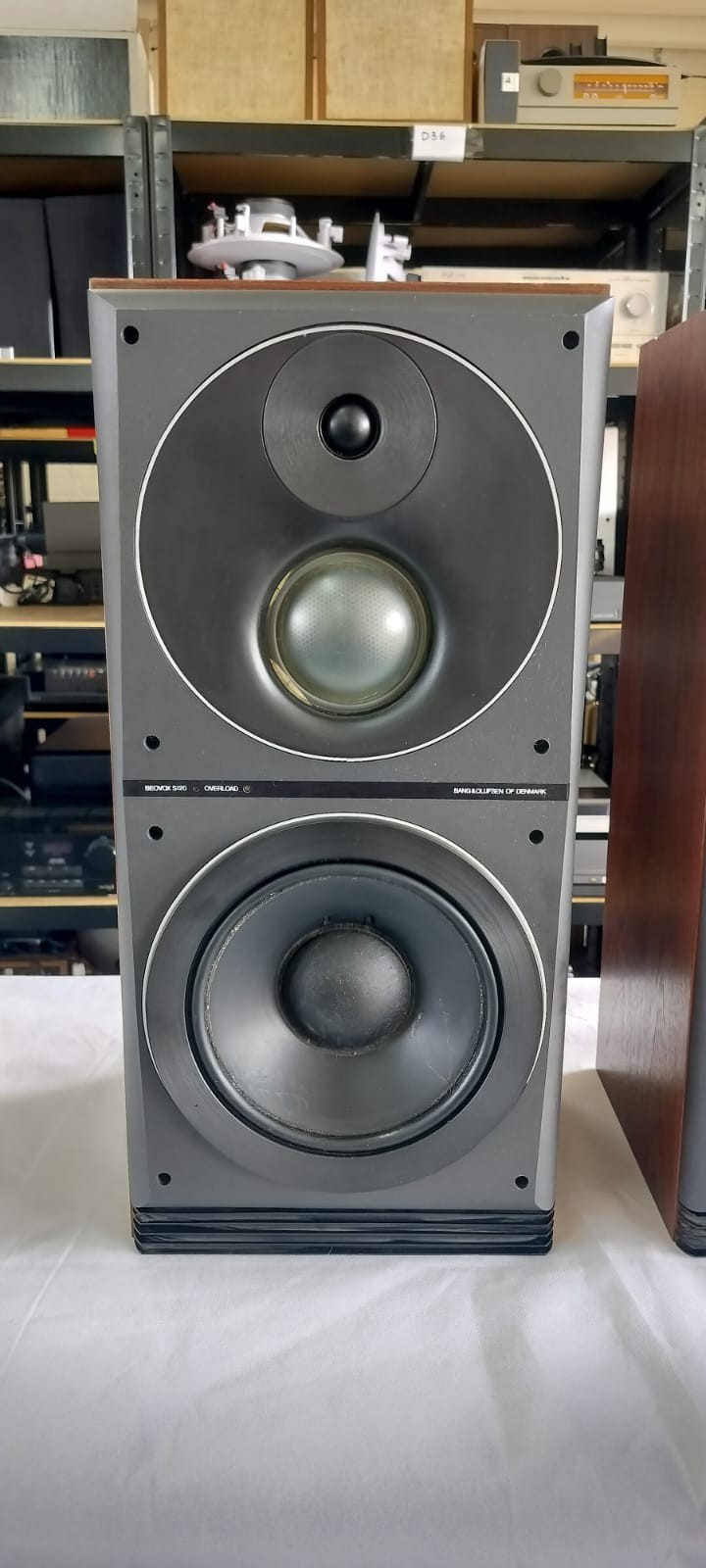 BANG & OLUFSEN B&O BEOVOX S120 SPEAKERS
