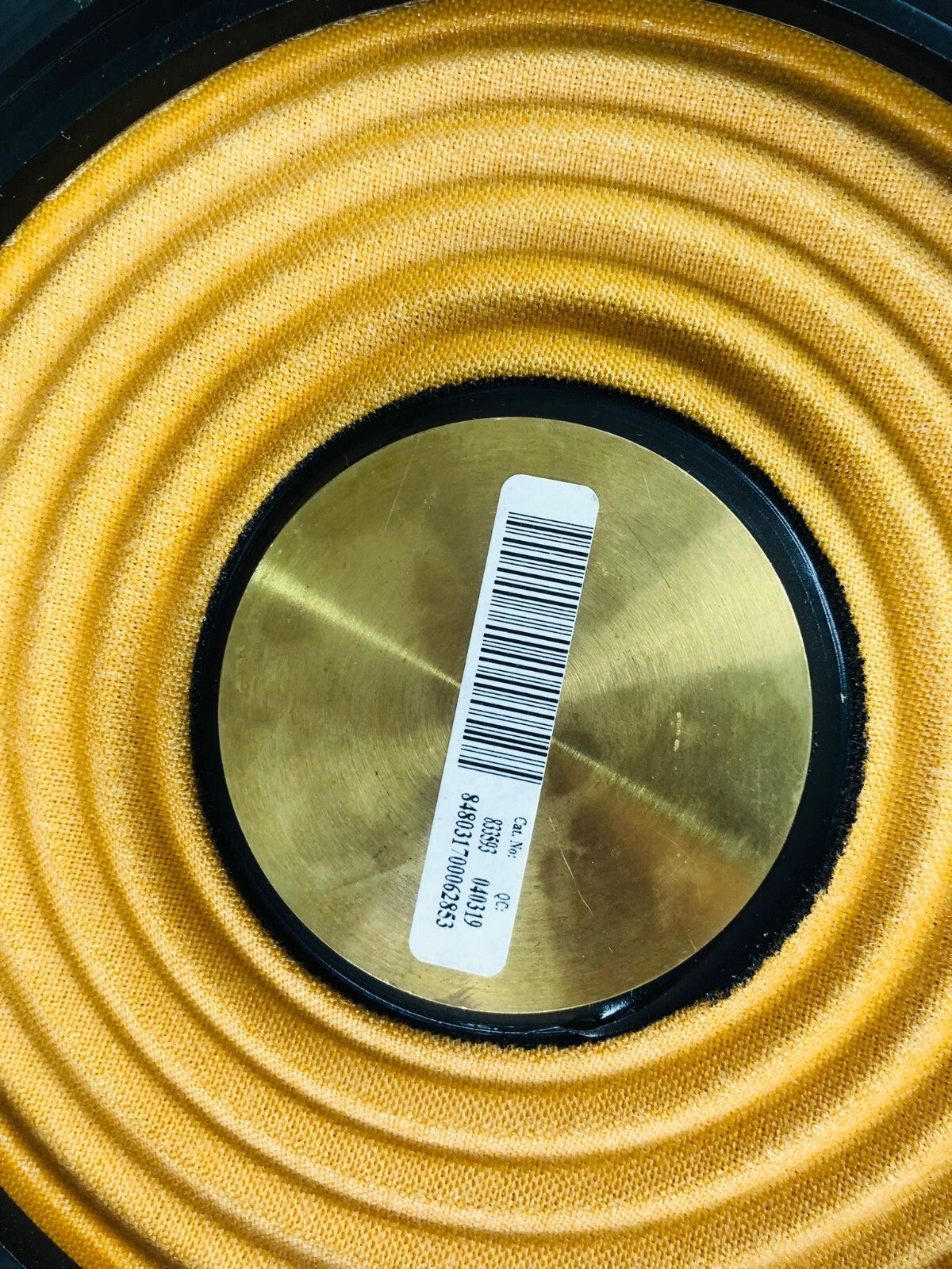 B&O Bang & Olufsen Beolab 2 Bass Radiator #002