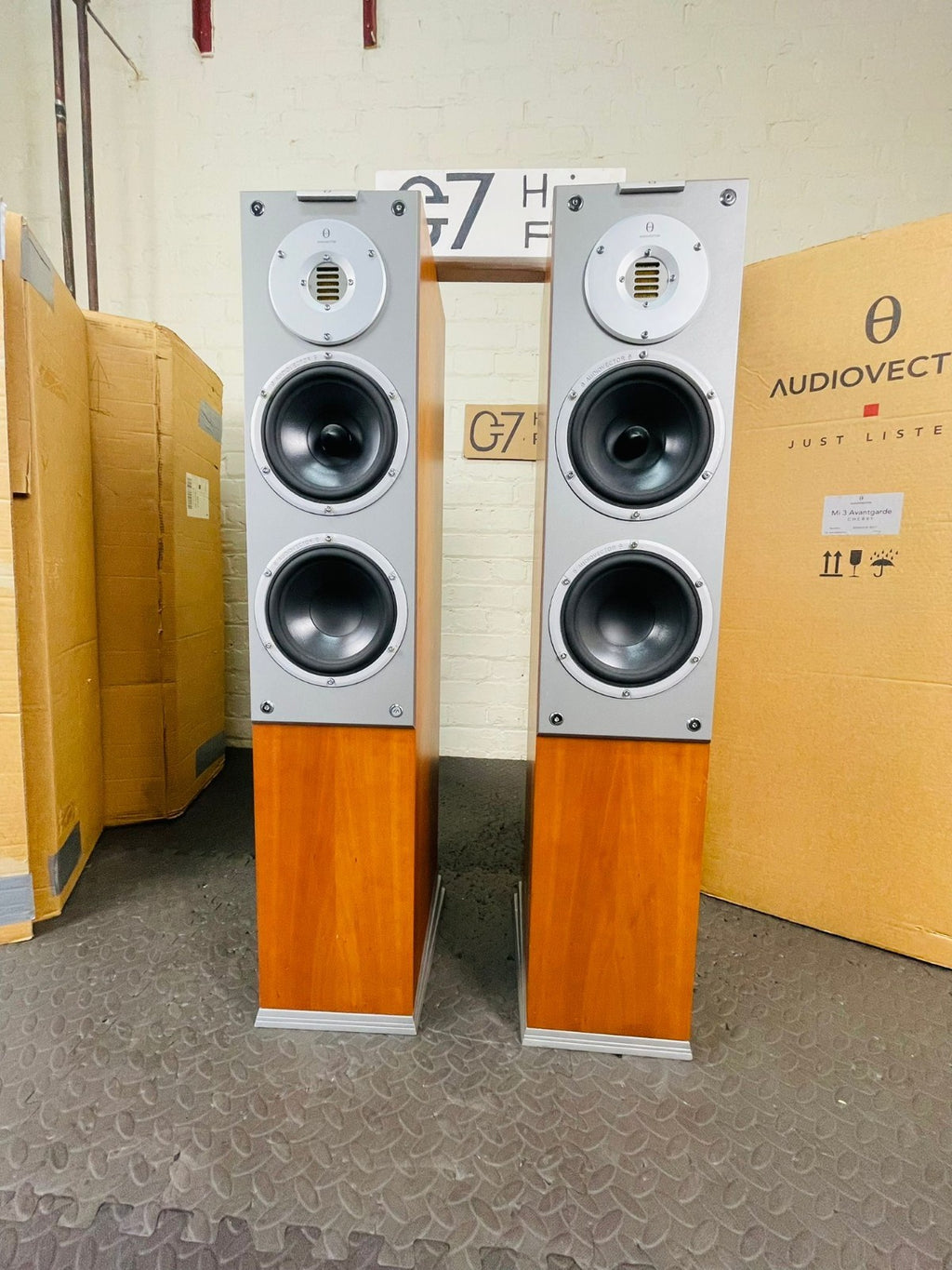 AUDIOVECTOR Mi3 AVANTGARDE FLOOR STANDING SPEAKERS