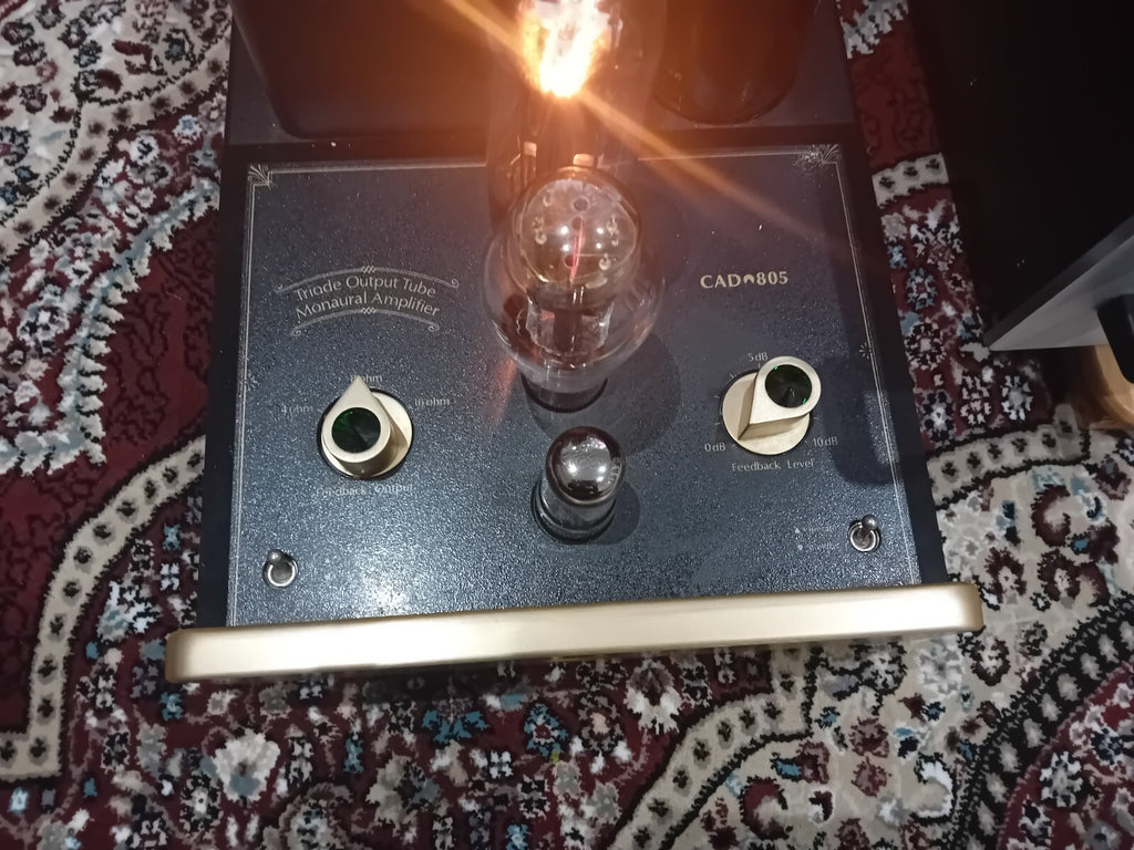 Cary CAD 805 triode output monaural tube valve power amplifiers mono blocks
