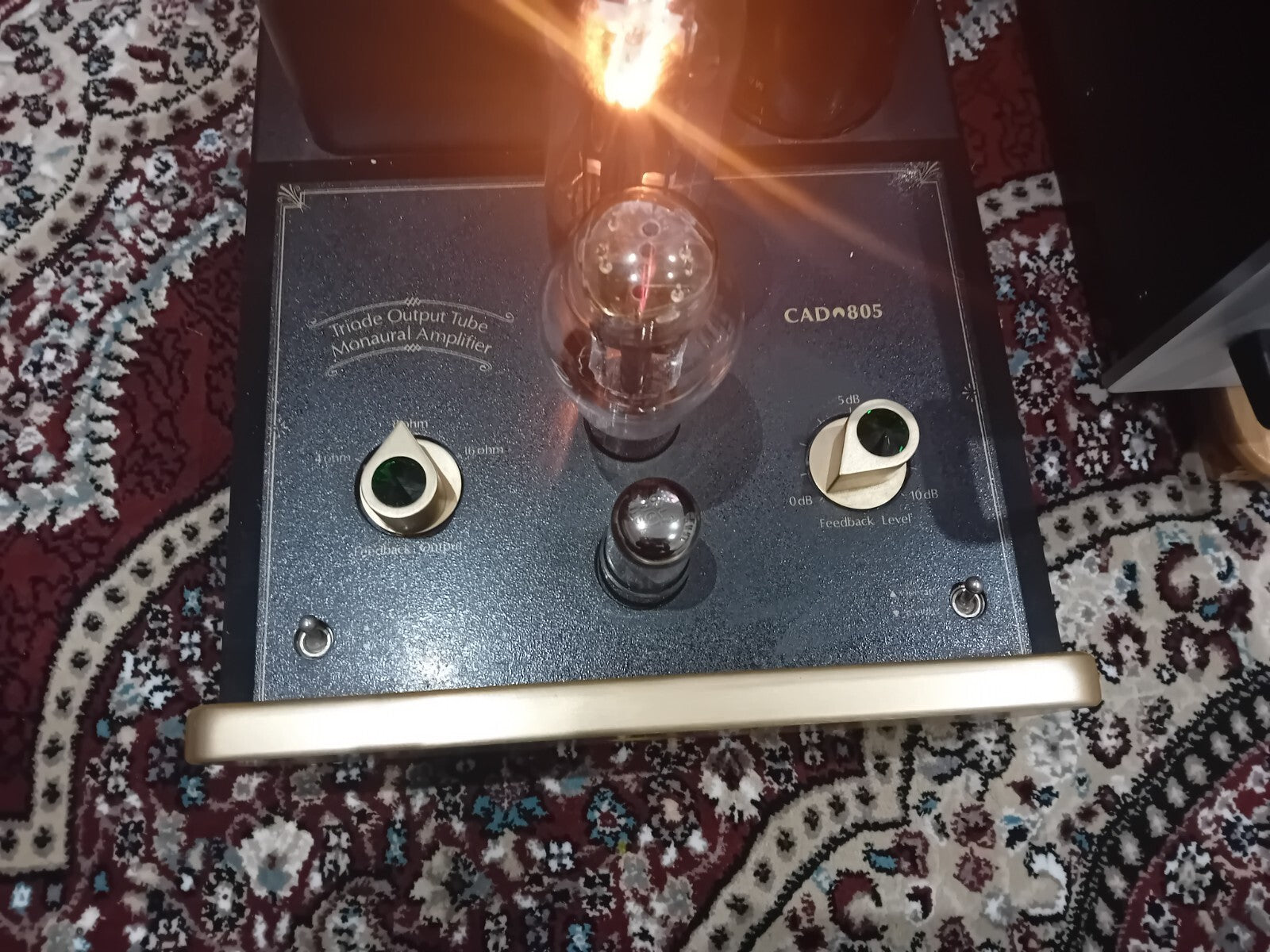 Cary CAD 805 triode output monaural tube valve power amplifiers mono blocks