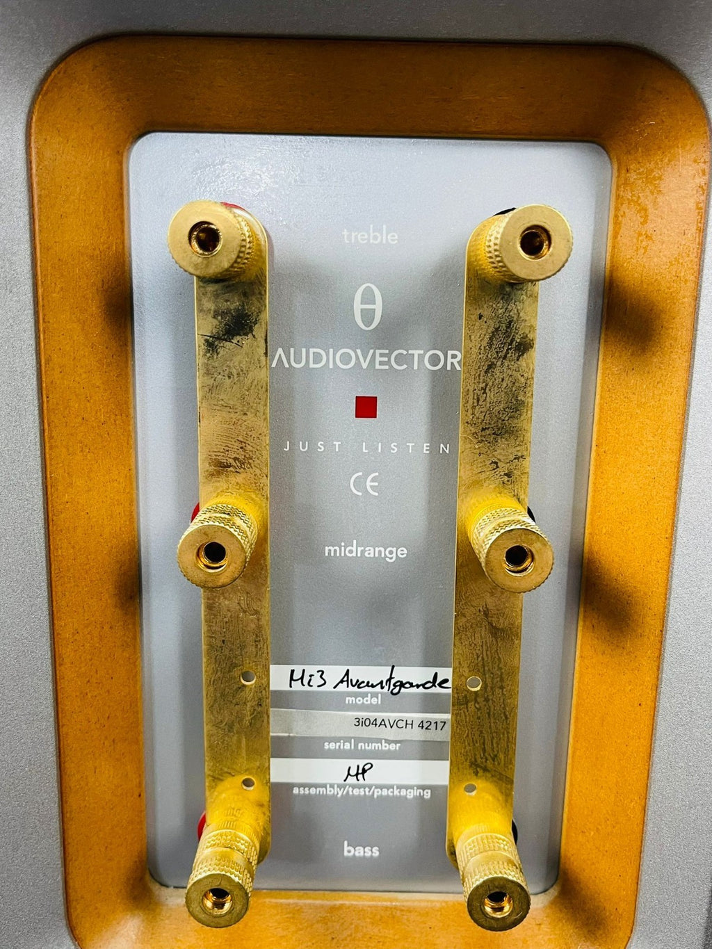 AUDIOVECTOR Mi3 AVANTGARDE FLOOR STANDING SPEAKERS