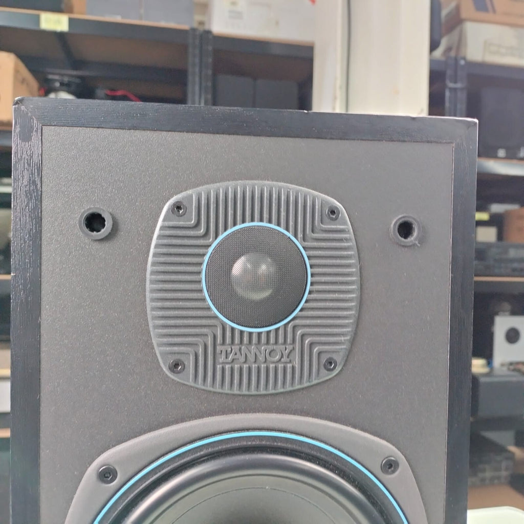 TANNOY E11 SPEAKERS
