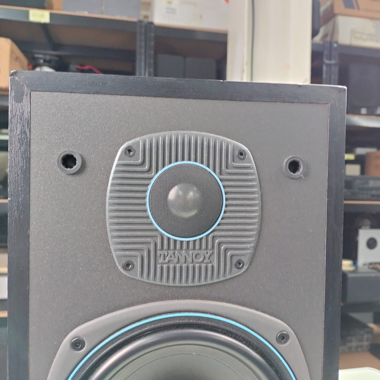 TANNOY E11 SPEAKERS