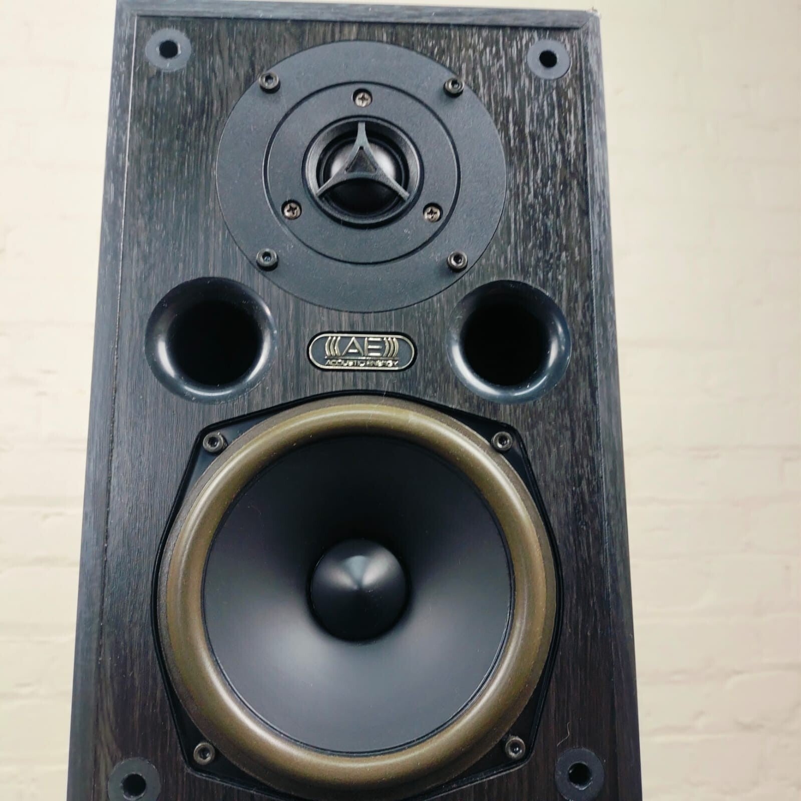 ACOUSTIC ENERGY AE109 FLOOR STANDING SPEAKERS