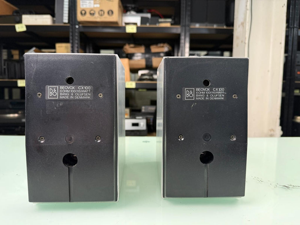 B&O BANG & OLUFSEN BEOVOX CX50 SPEAKERS