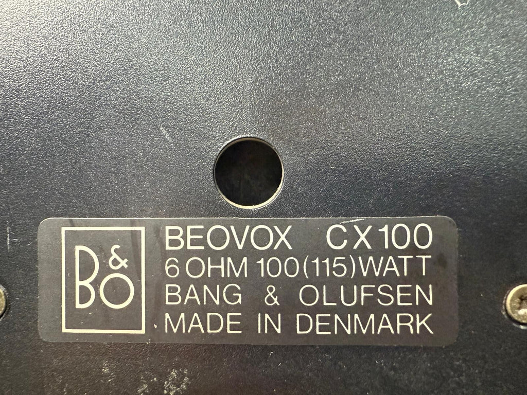 B&O BANG & OLUFSEN BEOVOX CX50 SPEAKERS
