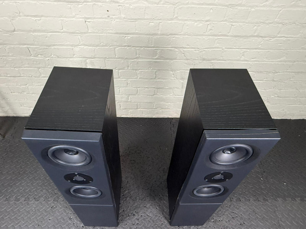 LINN KABER FLOOR STANDING SPEAKERS