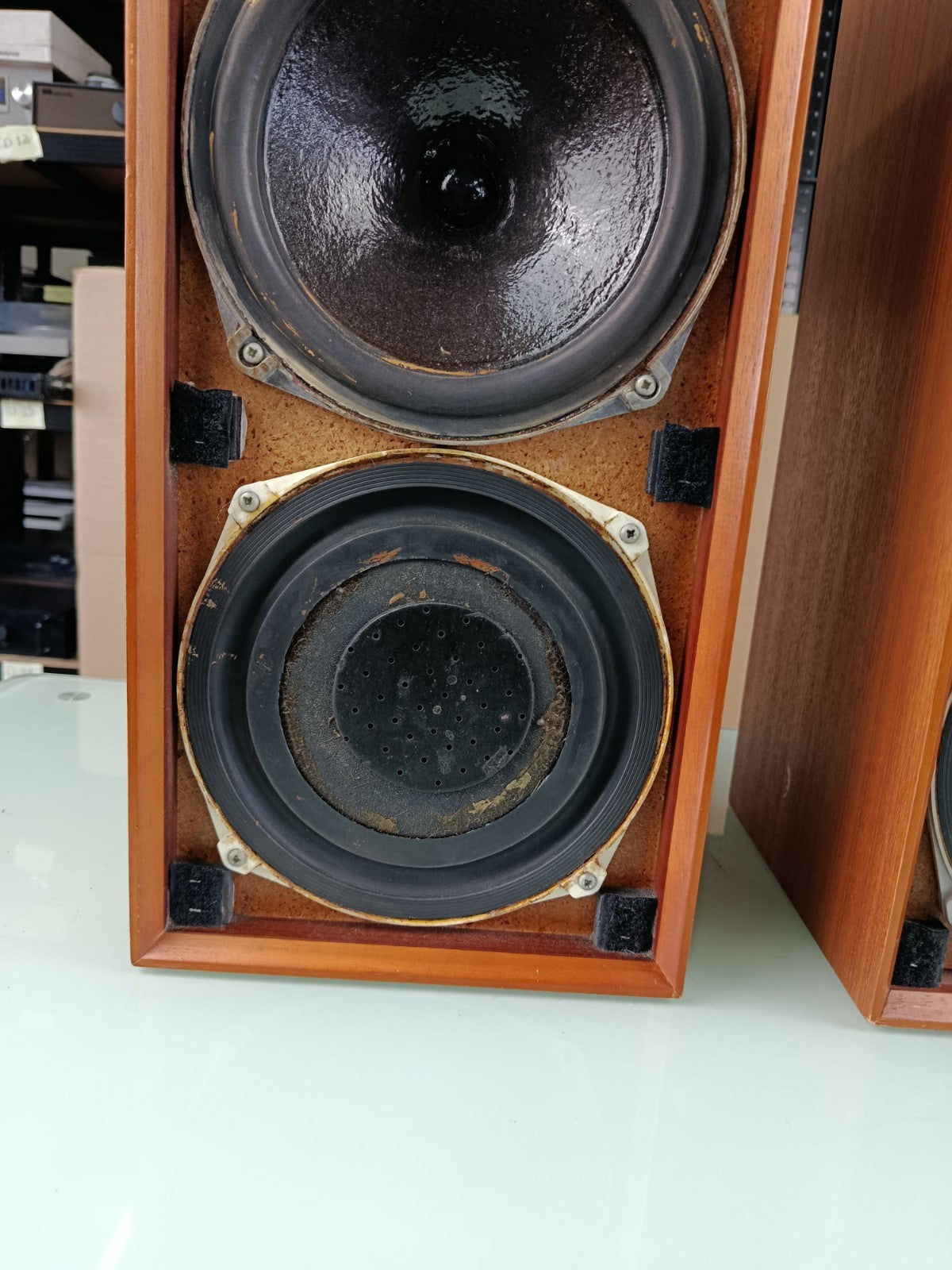 CELESTION DITTON 15 SPEAKERS