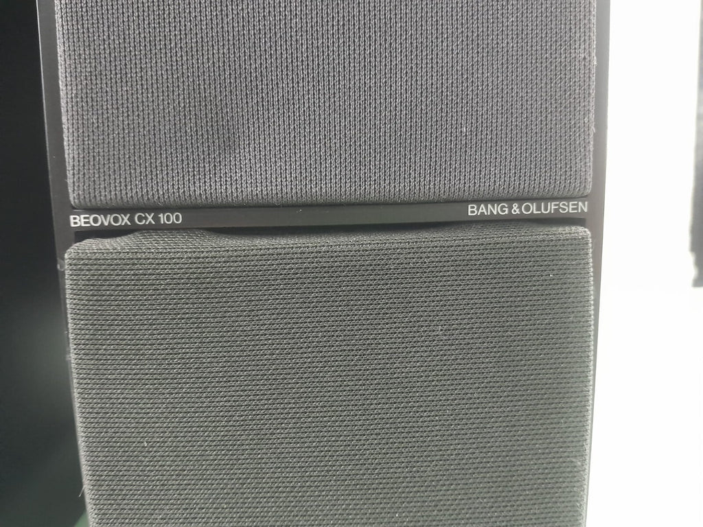 B&O BANG & OLUFSEN BEOVOX CX 100 SPEAKERS